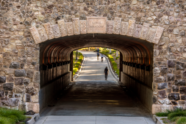 A walking tour of the JEFFREY OPEN SPACE TRAIL