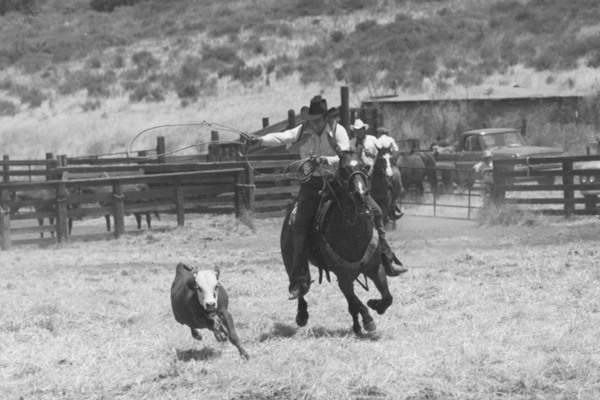 Cowboys and cattle once ruled Bommer Canyon
