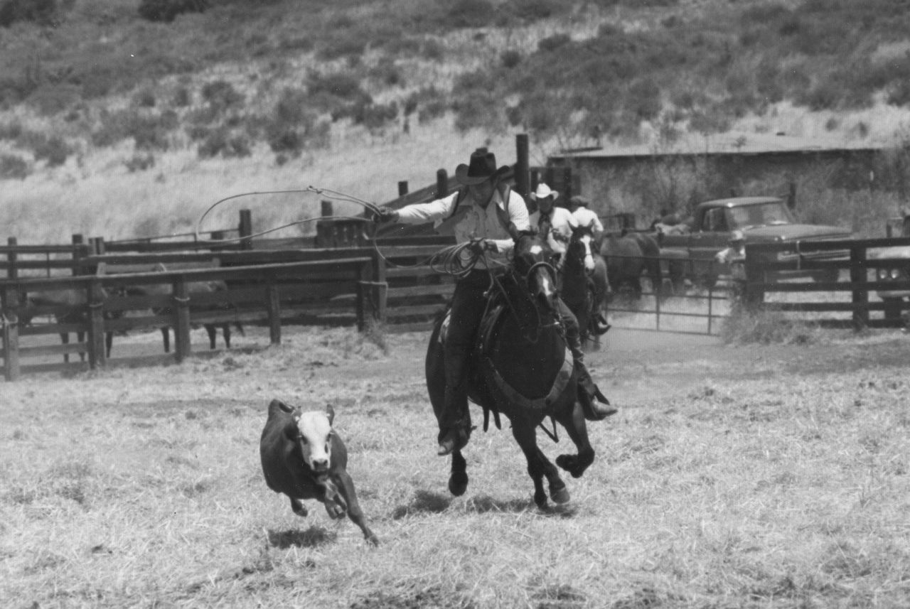 A Look Back Cowboys and cattle once ruled Bommer Canyon