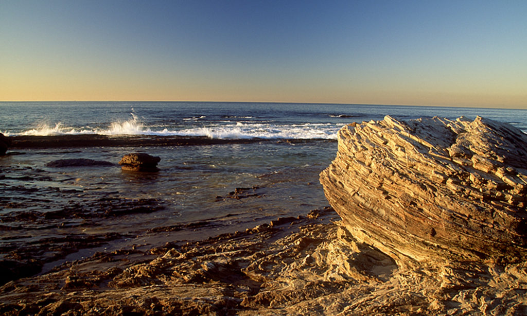 Crystal Cove Shore