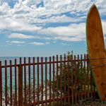 Vintage Surfboards overlook the beach