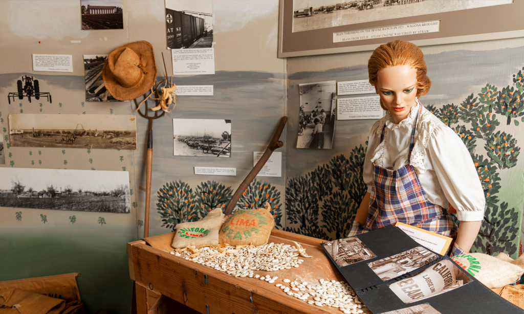 California Lima Beans Exhibit