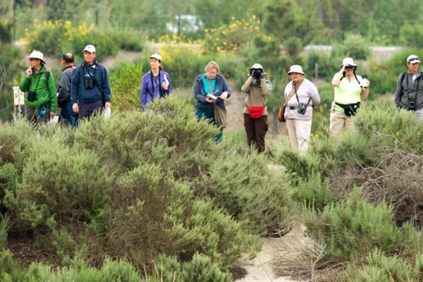 Birdwatchers: This story is for you