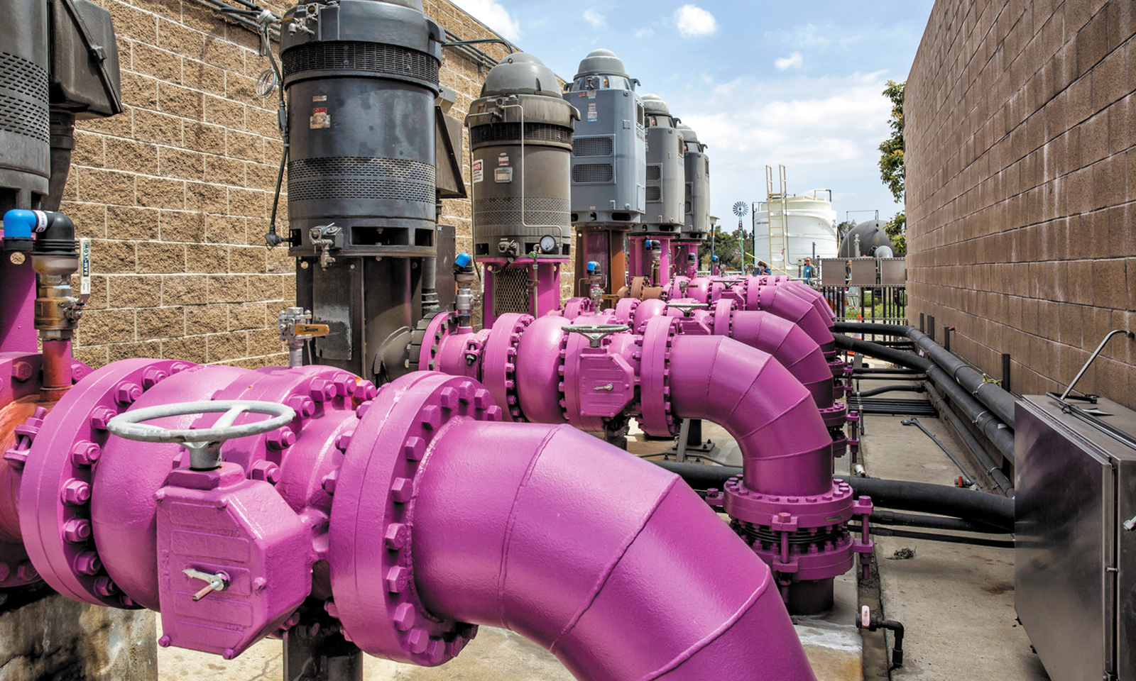 Irvine’s famous purple pipes