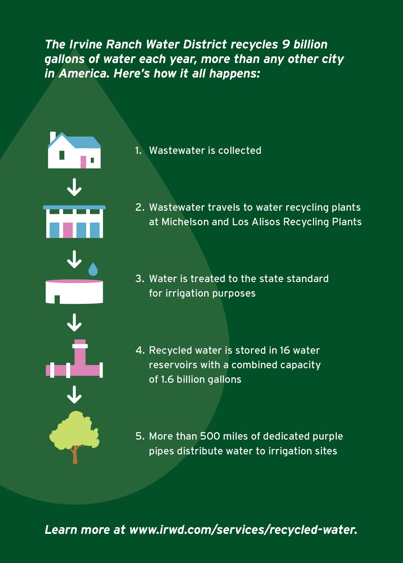 The Irvine Ranch Water District recycles 9 billion gallons of water each year, more than any other city in America. Here’s how it all happens: Learn more at www.irwd.com/services/recycled-water. “If Irvine looks greener and lusher than other communities, it’s because of our recycled water program,” said Irvine Ranch Water District General Manager Paul Cook. “While other communities have struggled, Irvine is able to maintain its tree-lined streets, green medians and lush common areas — because every gallon of recycled water used there saves a gallon of drinking water.” 1. Wastewater is collected 2. Wastewater travels to water recycling plants at Michelson and Los Alisos Recycling Plants 3. Water is treated to the state standard for irrigation purposes 4. Recycled water is stored in 16 water reservoirs with a combined capacity of 1.6 billion gallons 5. More than 500 miles of dedicated purple pipes distribute water to irrigation sites