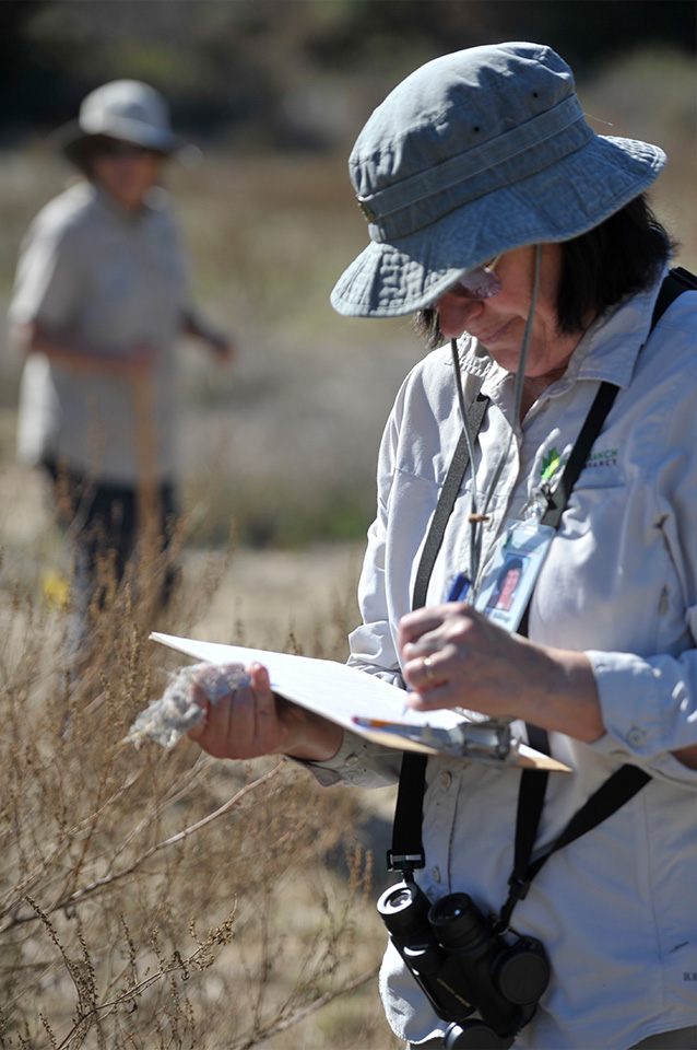Vicki Billings is a volunteer with the Irvine Ranch Conservancy (IRC), which offers hikes and other programs on much of the 57,000 acres of open space on the Irvine Ranch.