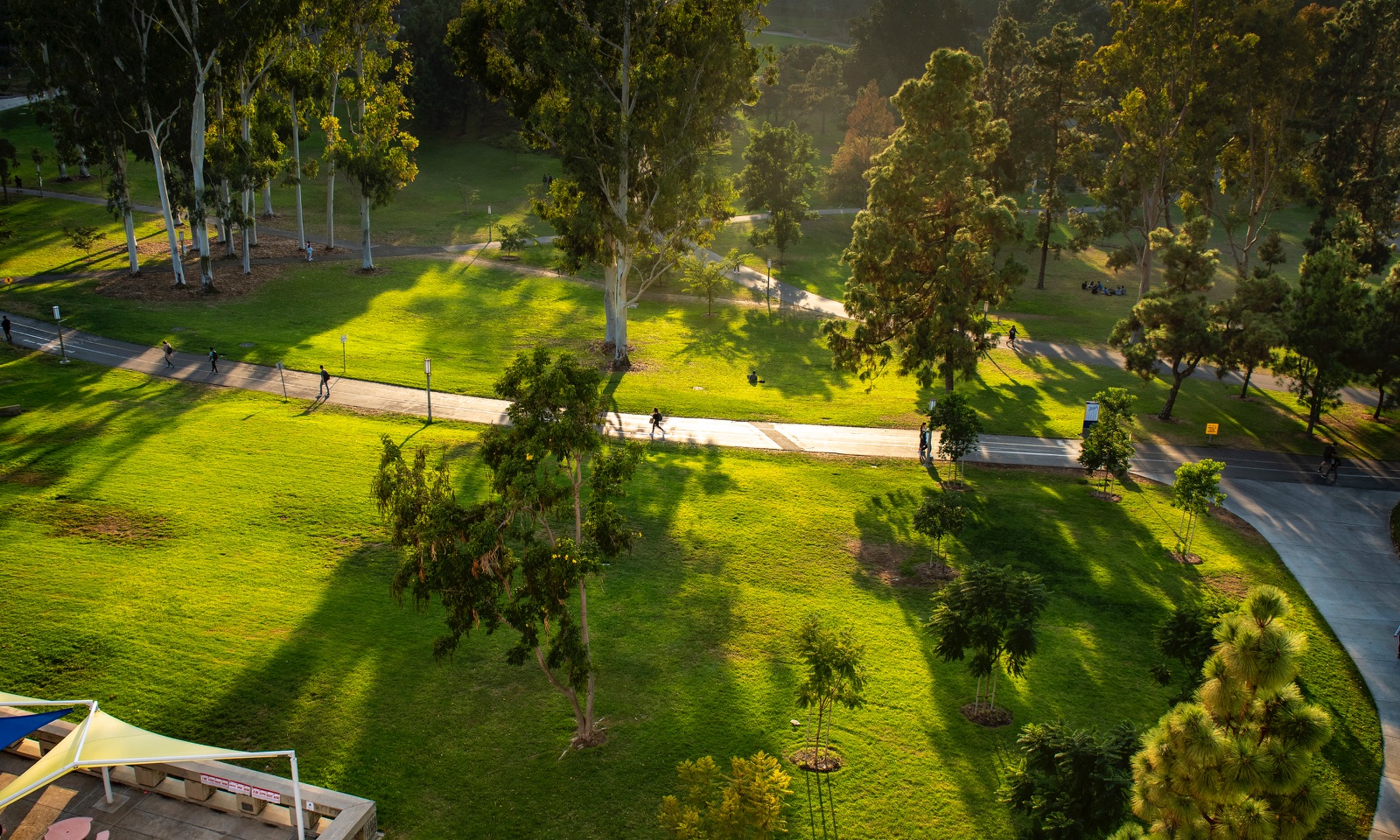 Aerial view of Aldrich Park