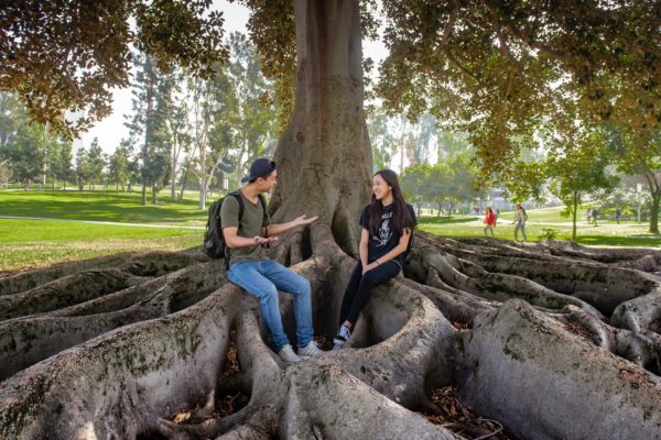 It all started with UCI’s Aldrich Park