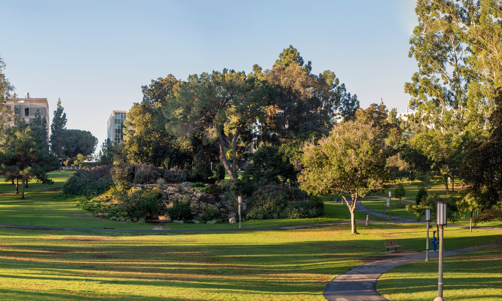 Irvine gives away free trees to residents
