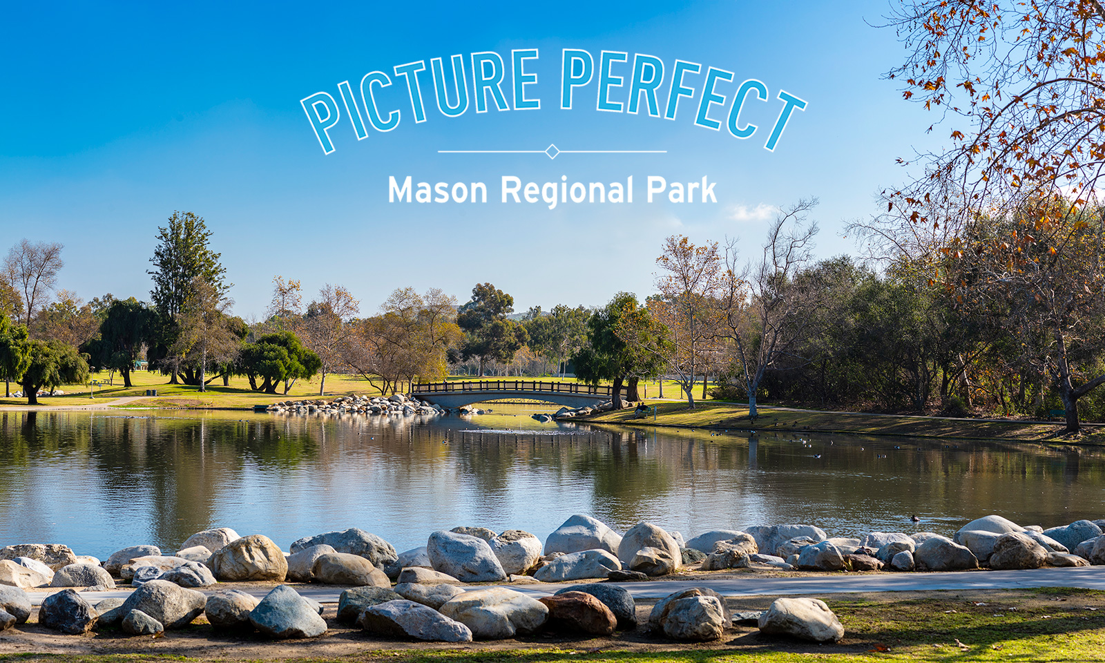Picture Perfect Mason Regional Park