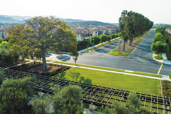 Village Profile: Eastwood