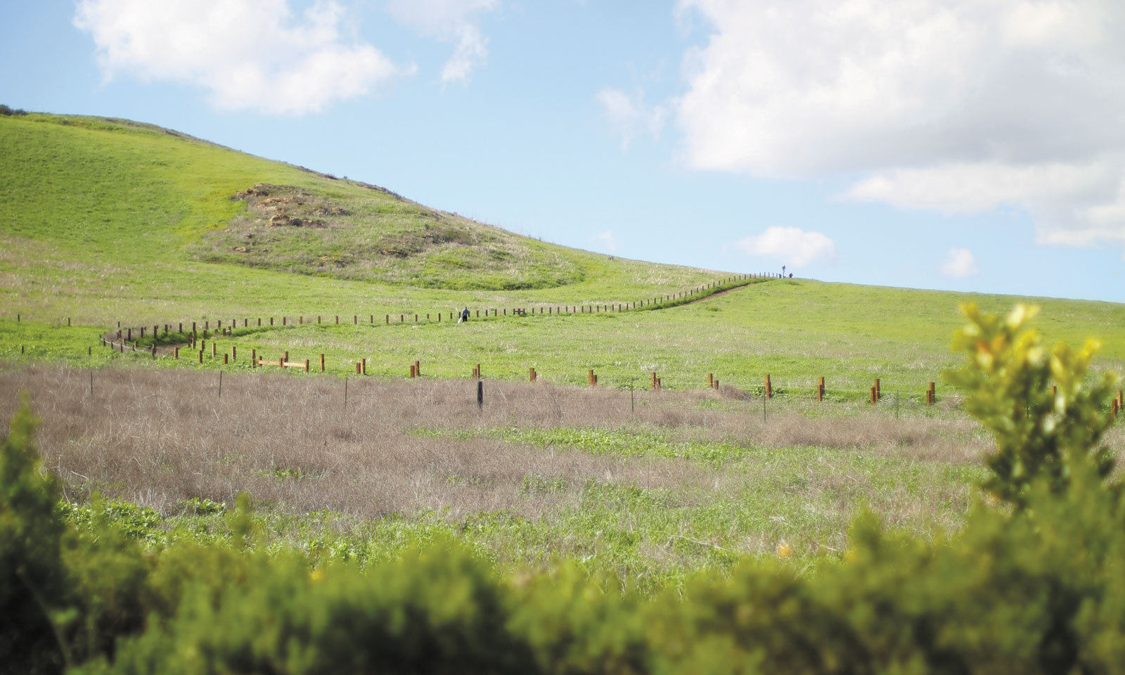 Quail Hill named best trail in OC