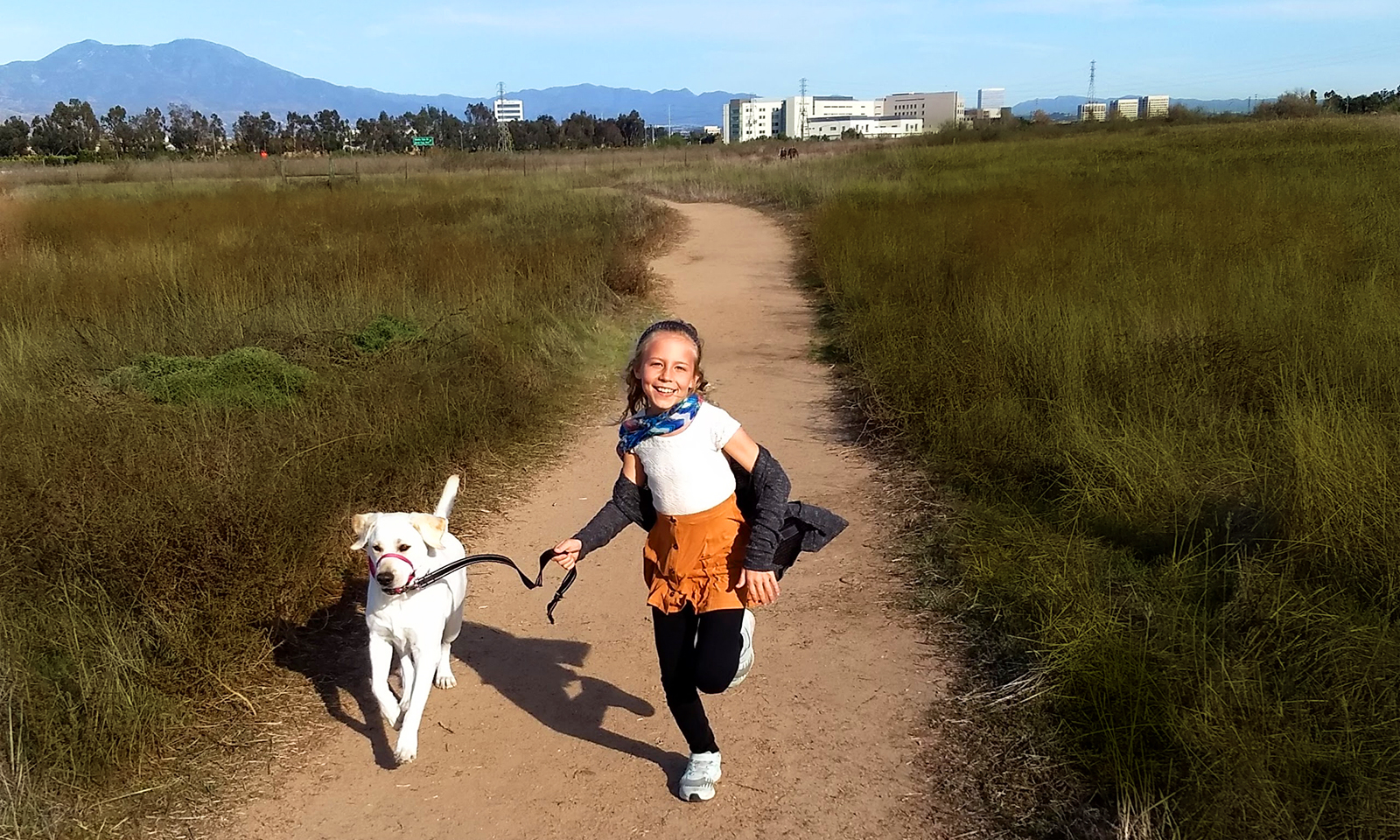 Best city for pets on West Coast