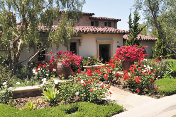 Native plants offer beauty and savings