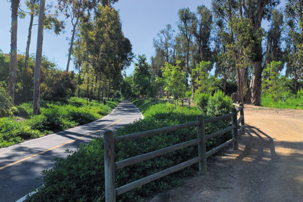 Hicks Canyon: Two trails in one
