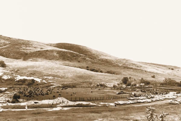 Moments in Irvine Ranch history