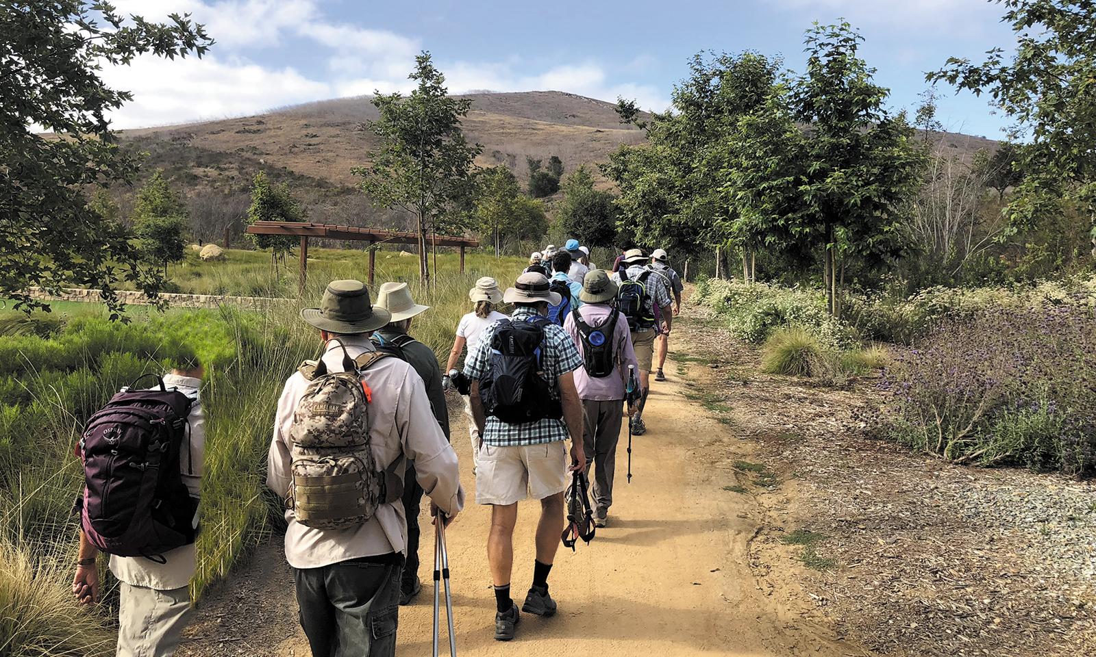 Irvine's best‐kept secret Quail Hill open space