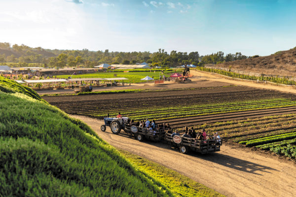 Farm‐to‐table in Irvine