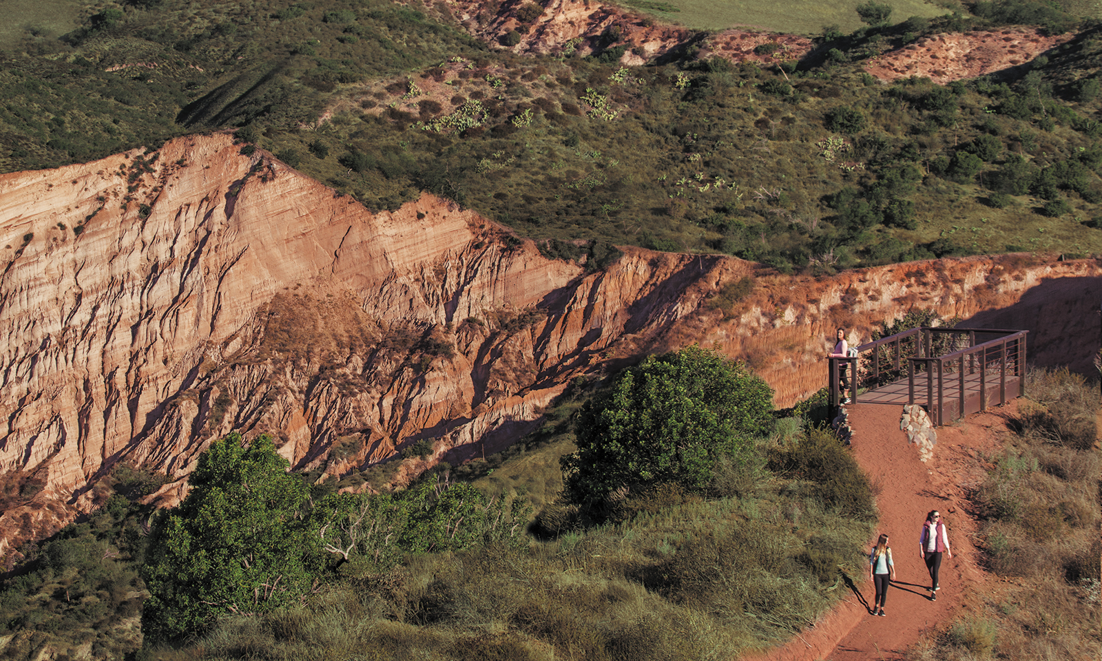 Irvine’s ‘Grand Canyon’