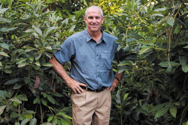 Sustainable orchards