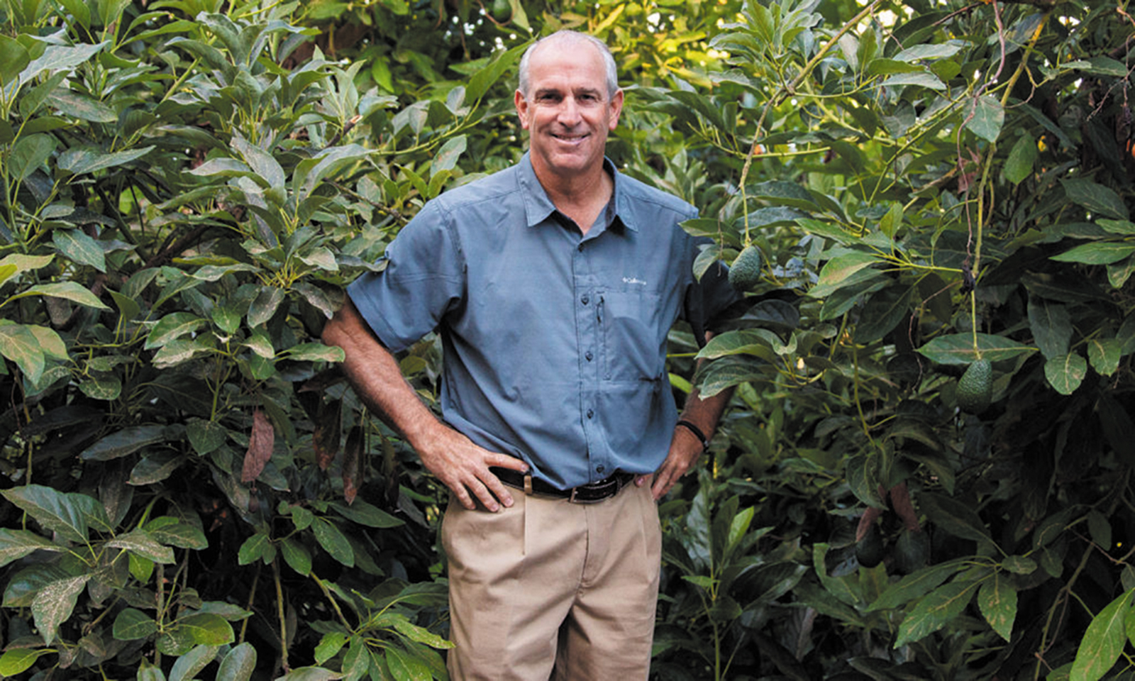 Sustainable orchards
