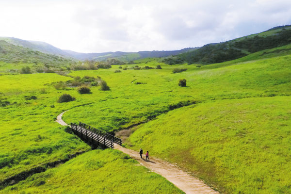 Open spaces of The Irvine Ranch