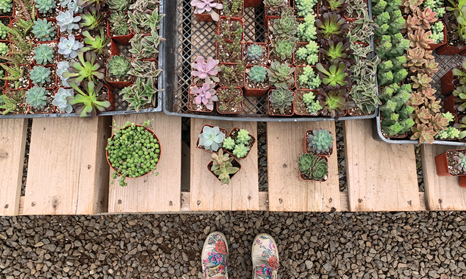 Sustainable gardening