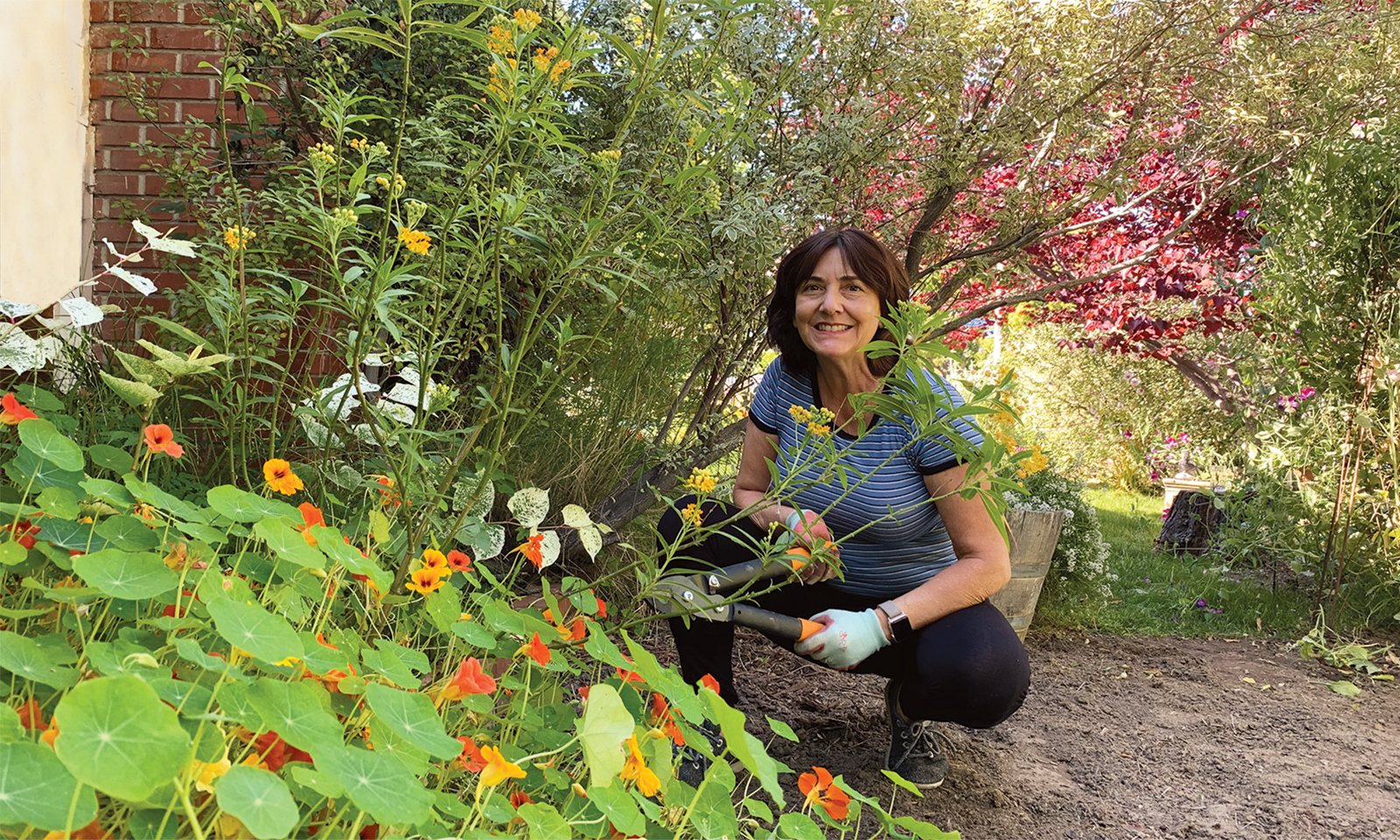 Plant your way to good health this spring