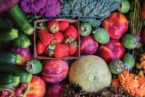 Fresh produce is in the box at Manassero Farms