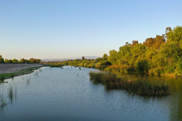 Walk or cycle along Irvine’s longest creek
