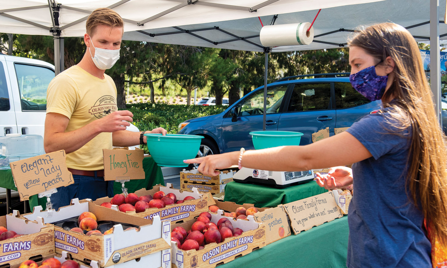 Farmfresh fruits and vegetables Irvine Standard