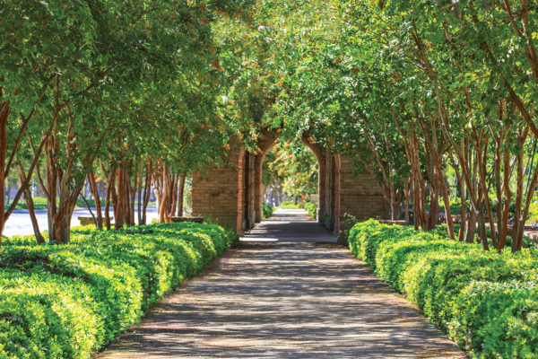 A Green Master Plan