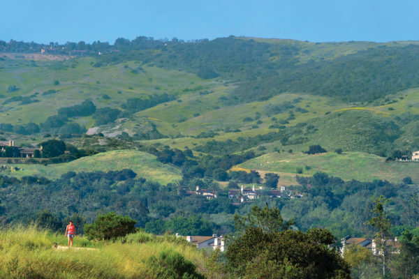 Irvine has more parks and open space