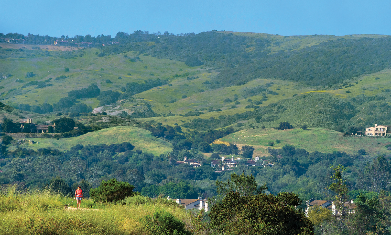 Irvine has more parks and open space