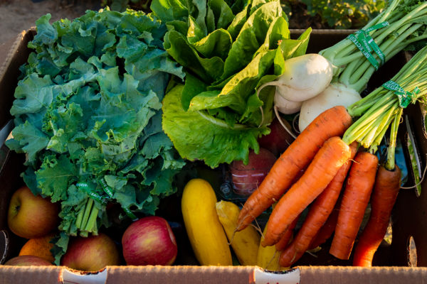 Five ways to improve your immune health