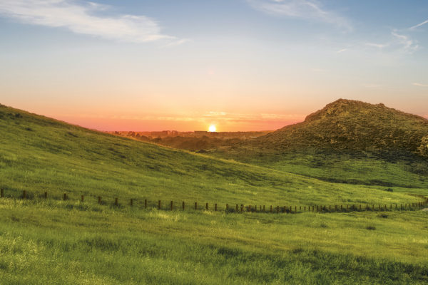 Quail Hill Open Space and Trail