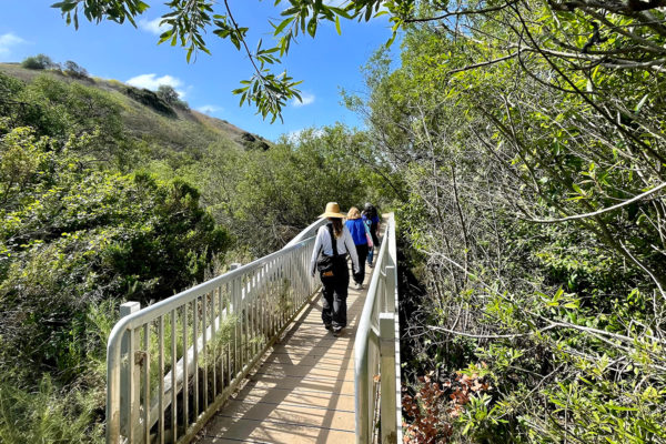 Buck Gully is Orange County’s hidden oasis