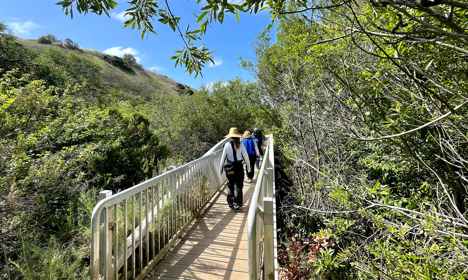 Buck Gully is Orange County’s hidden oasis