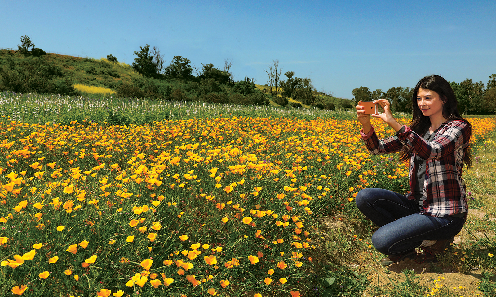 Irvine celebrates 50th with a photo contest