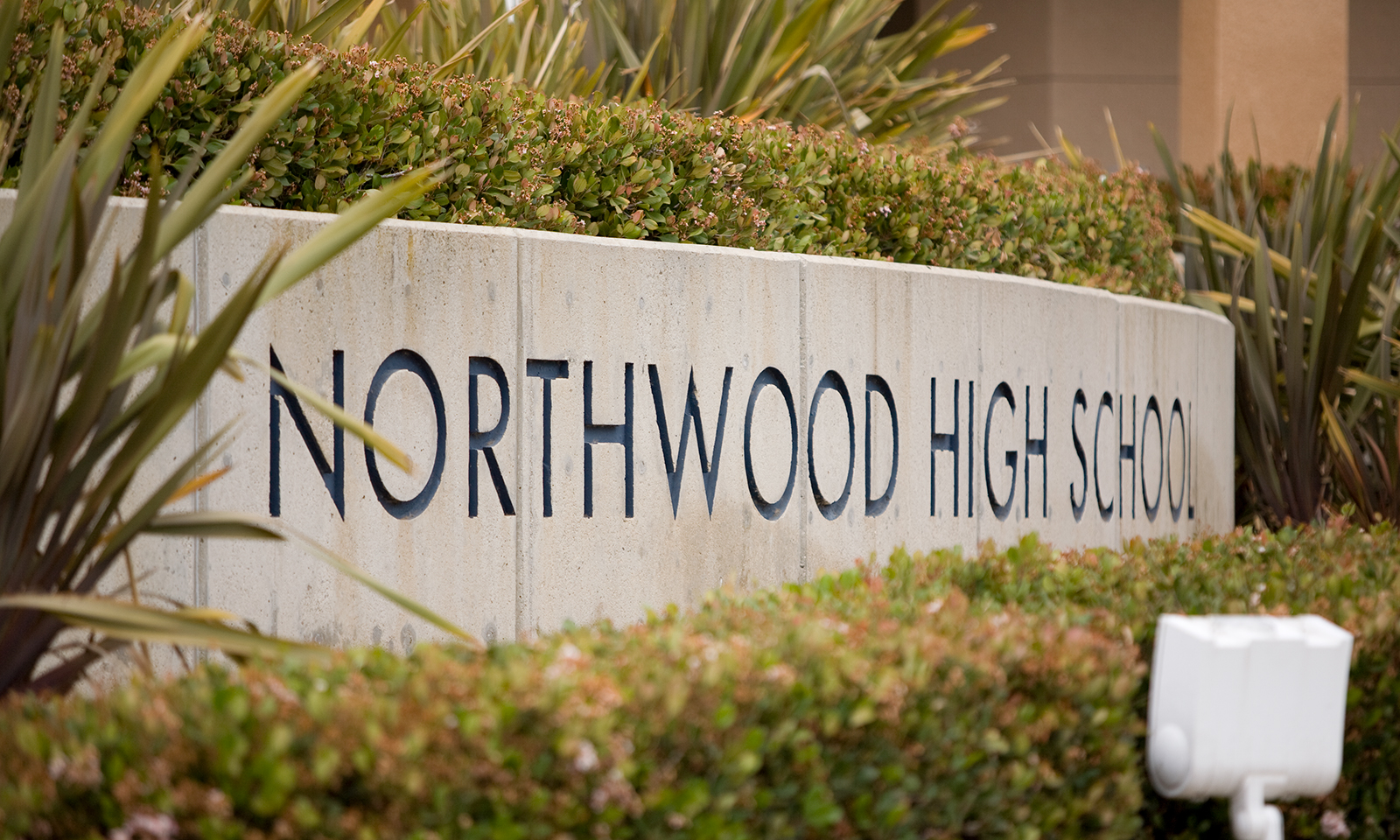 Northwood and University named distinguished schools
