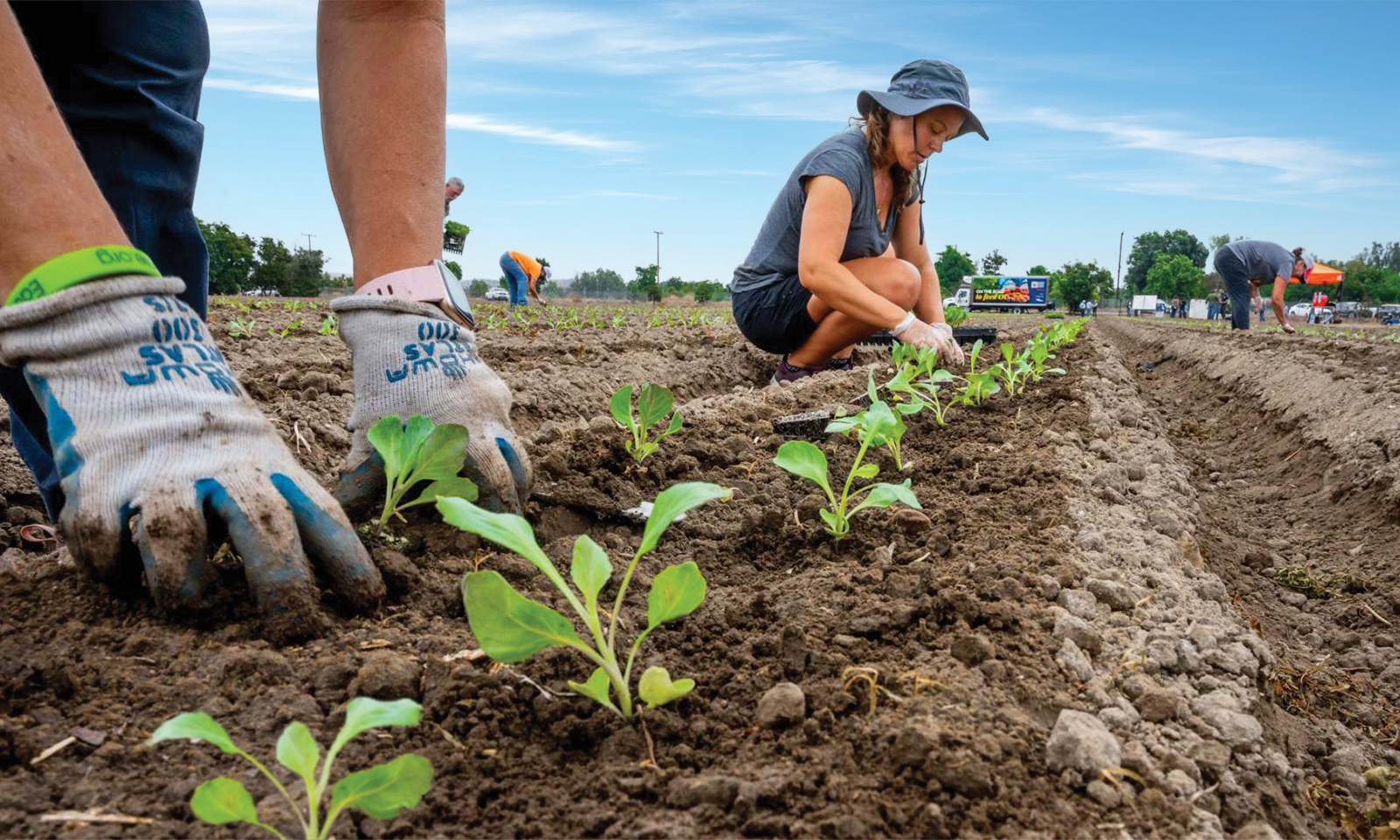 New farm dedicated to Second Harvest