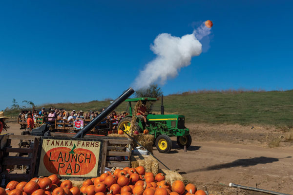 Behold, the great flying pumpkins of Irvine