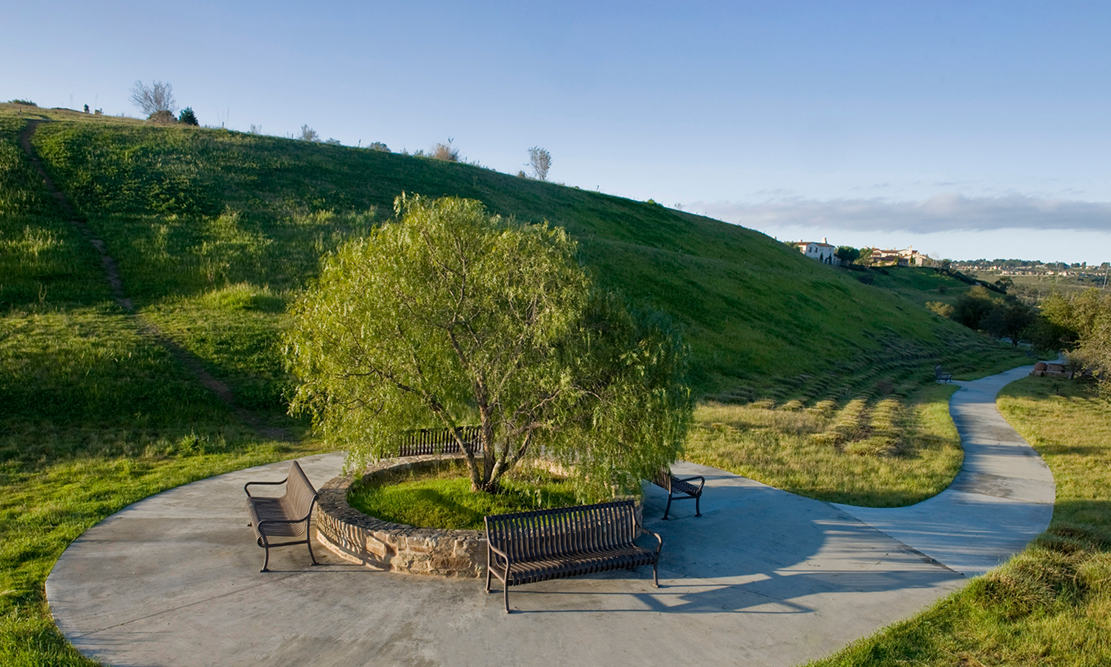 Discovering hidden gems while walking Irvine neighborhoods