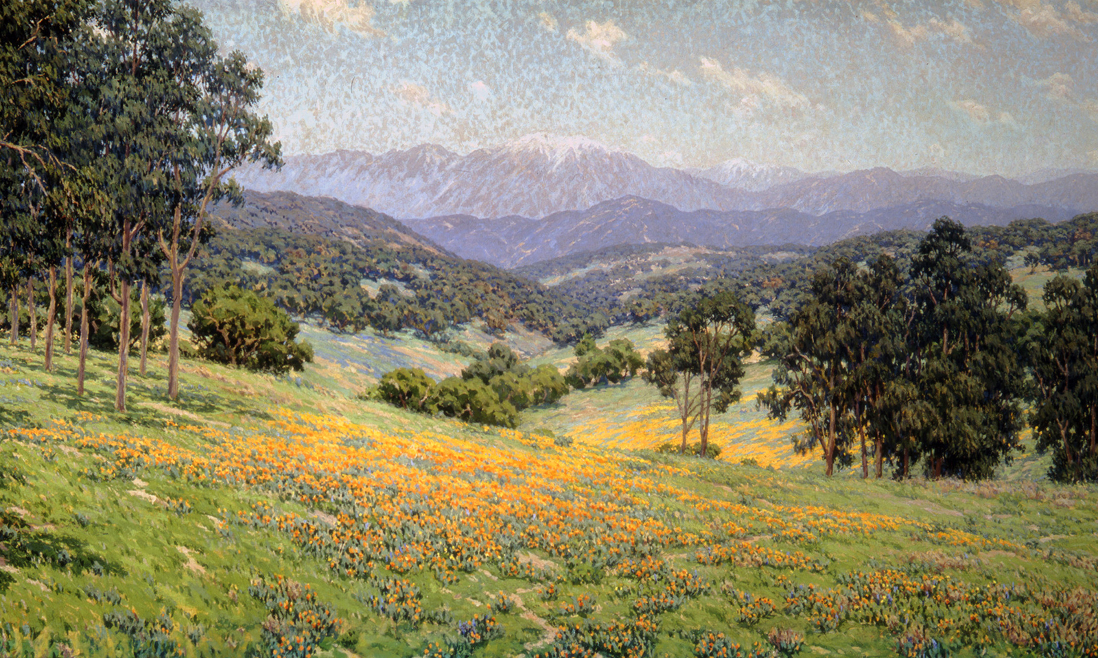UCI museum captures California’s natural beauty