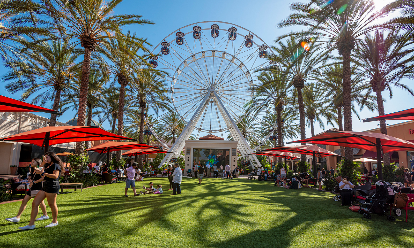 THE STORY of the GIANT WHEEL