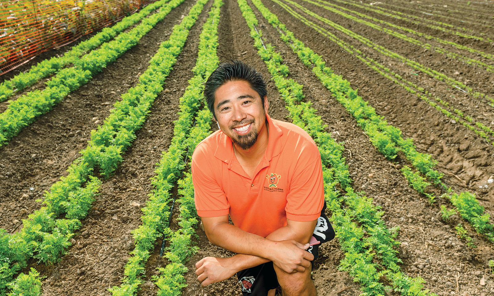 LETTUCE, RADISHES & RAISED BEDS