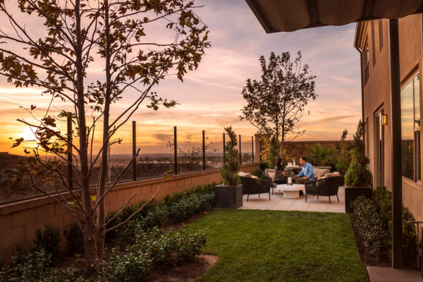 Transform your yard into a masterpiece