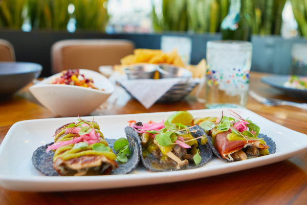TRES TACOS TO TALK ABOUT
