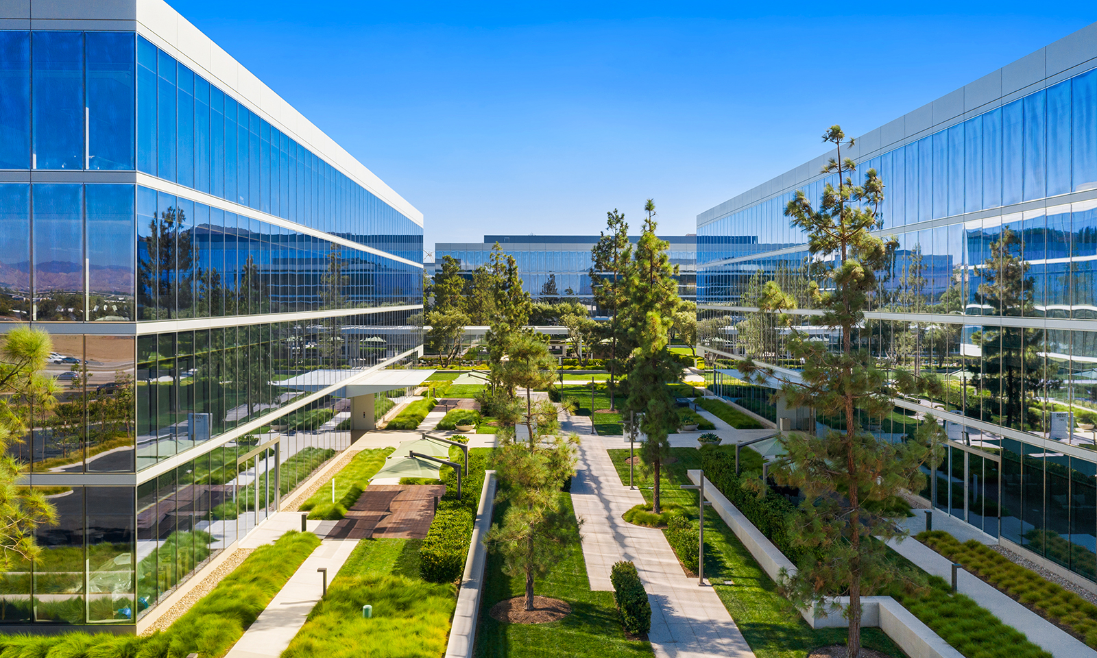 Amazon delivers 800 jobs