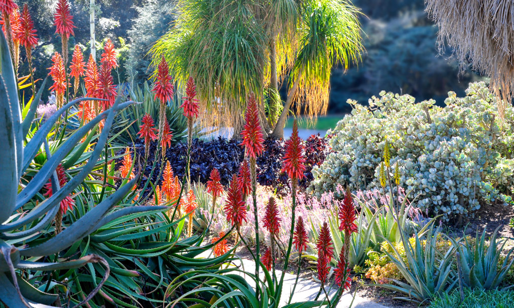 Water-wise tips for fall